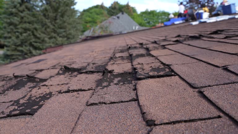 Best Roof Insulation Installation  in Sun City, AZ