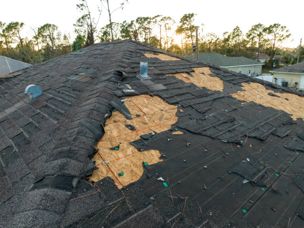 Best Chimney Flashing Repair  in Sun City, AZ